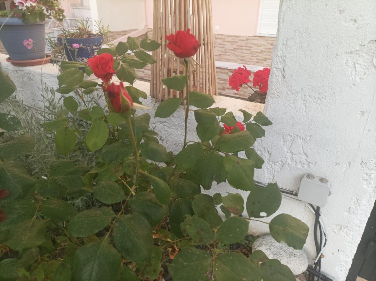 Filomeni Studios Pefkochori Dış mekan fotoğraf